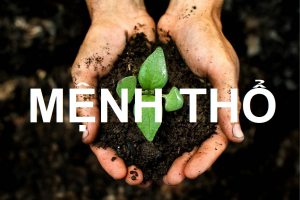 Đá phong thủy mệnh Thổ phù hợp nhất